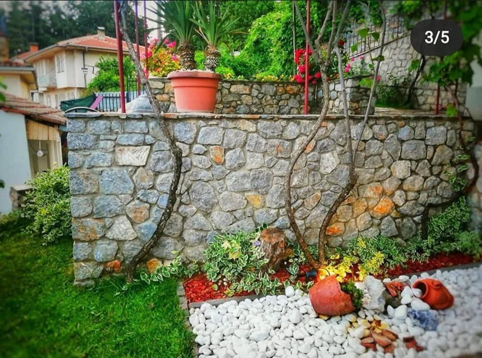 Snegar Apartments Ohrid Extérieur photo