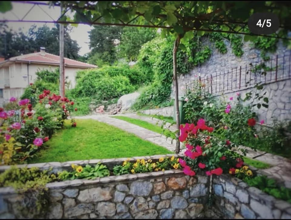 Snegar Apartments Ohrid Extérieur photo