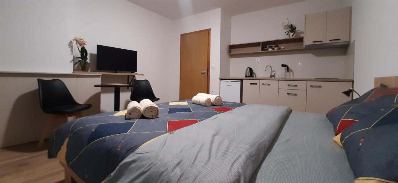 Snegar Apartments Ohrid Extérieur photo