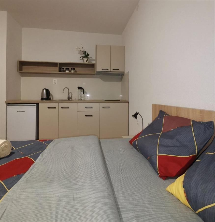 Snegar Apartments Ohrid Extérieur photo
